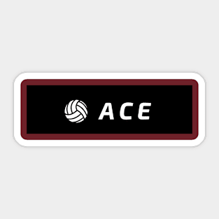 ACCEE Sticker